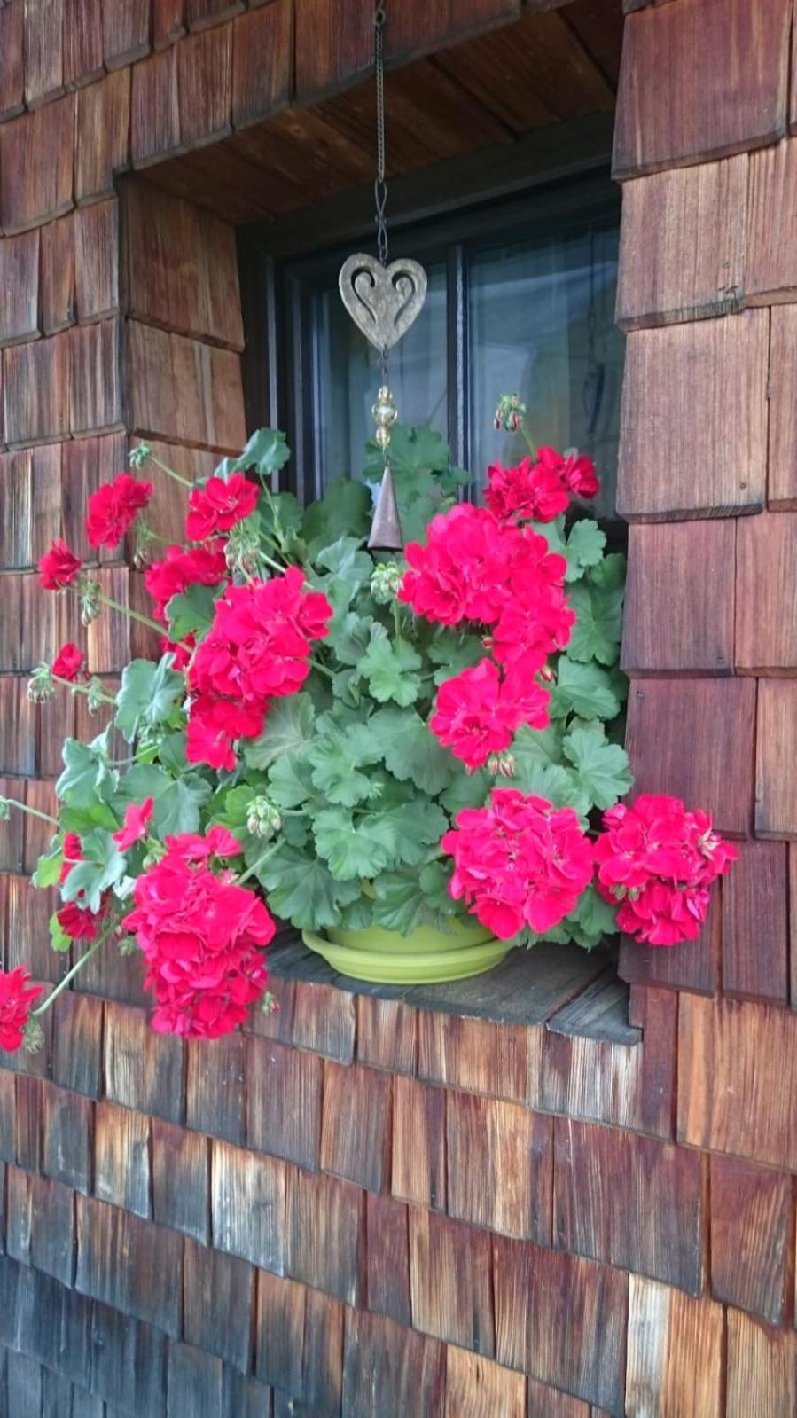 Huettenzauber Taxenbach Exterior foto